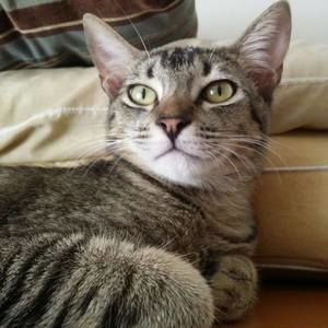 Meet your Posher, Tamara